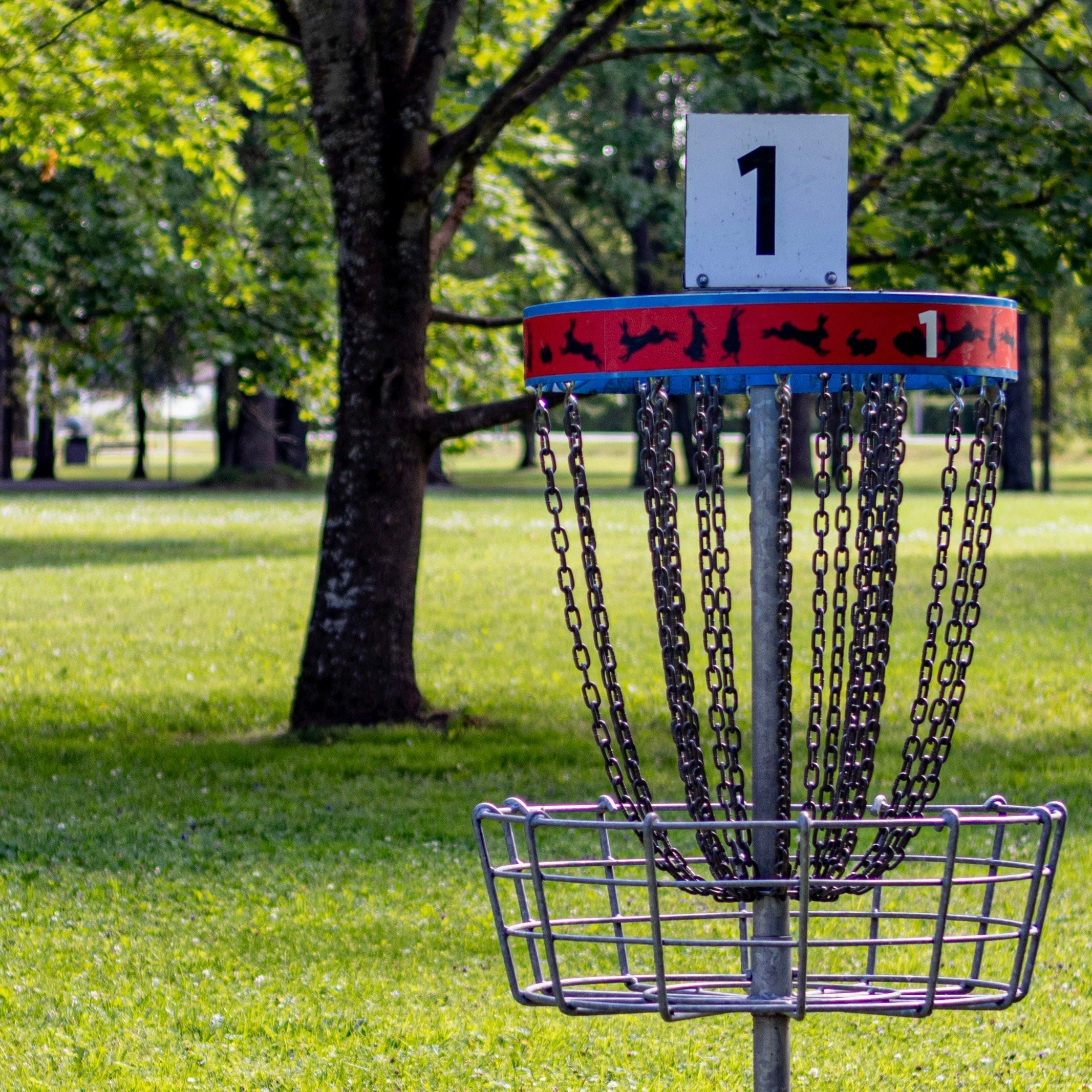Diskgolfas