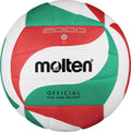 Tinklinio kamuolys MOLTEN V5M2000