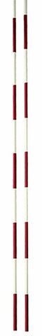 Tinklinio antenos POKORNY 2vnt.