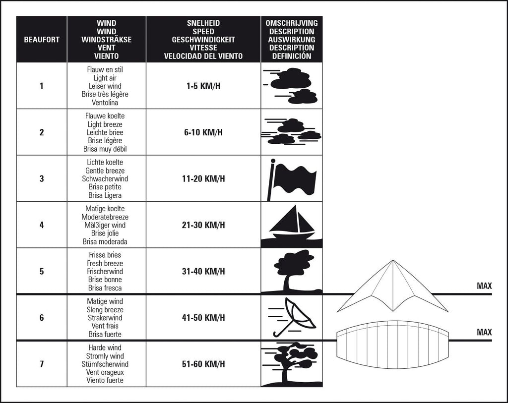 Aitvaras DRAGONFLY 51WL Kite Eagle