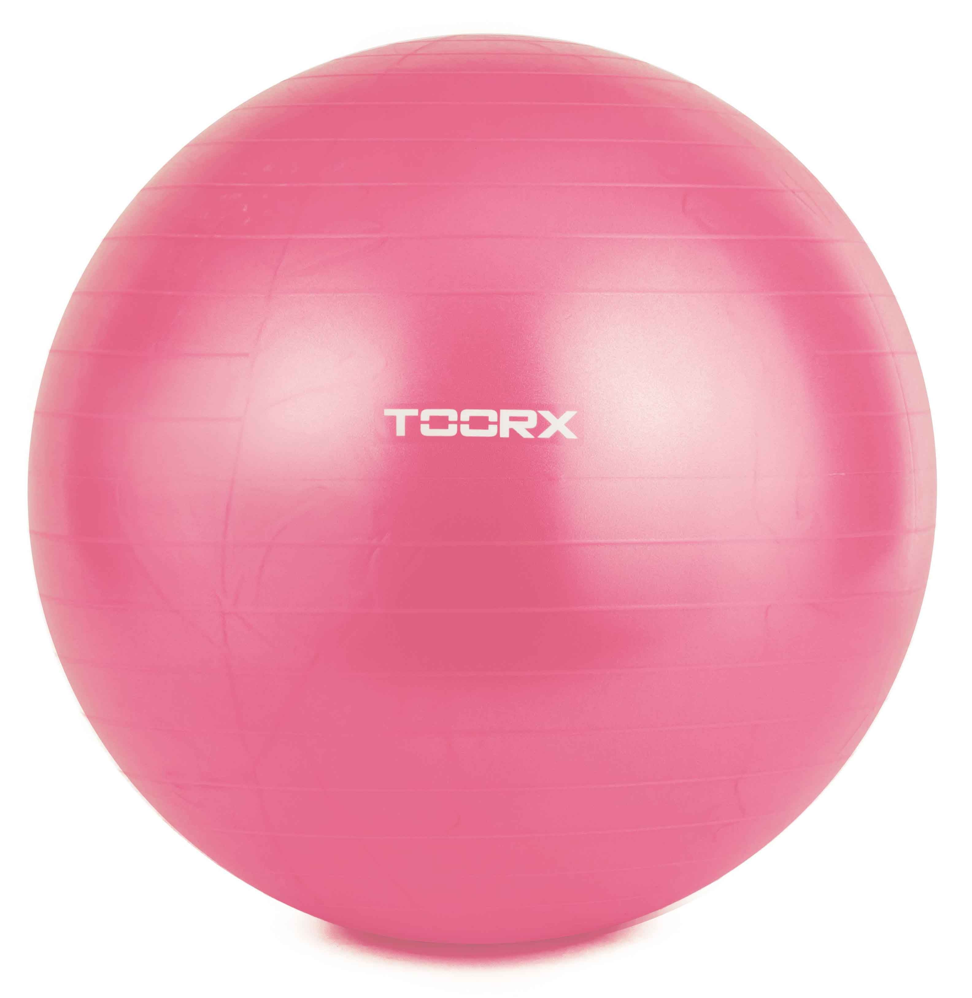 Gimnastikos kamuolys TOORX AHF-069 55cm
