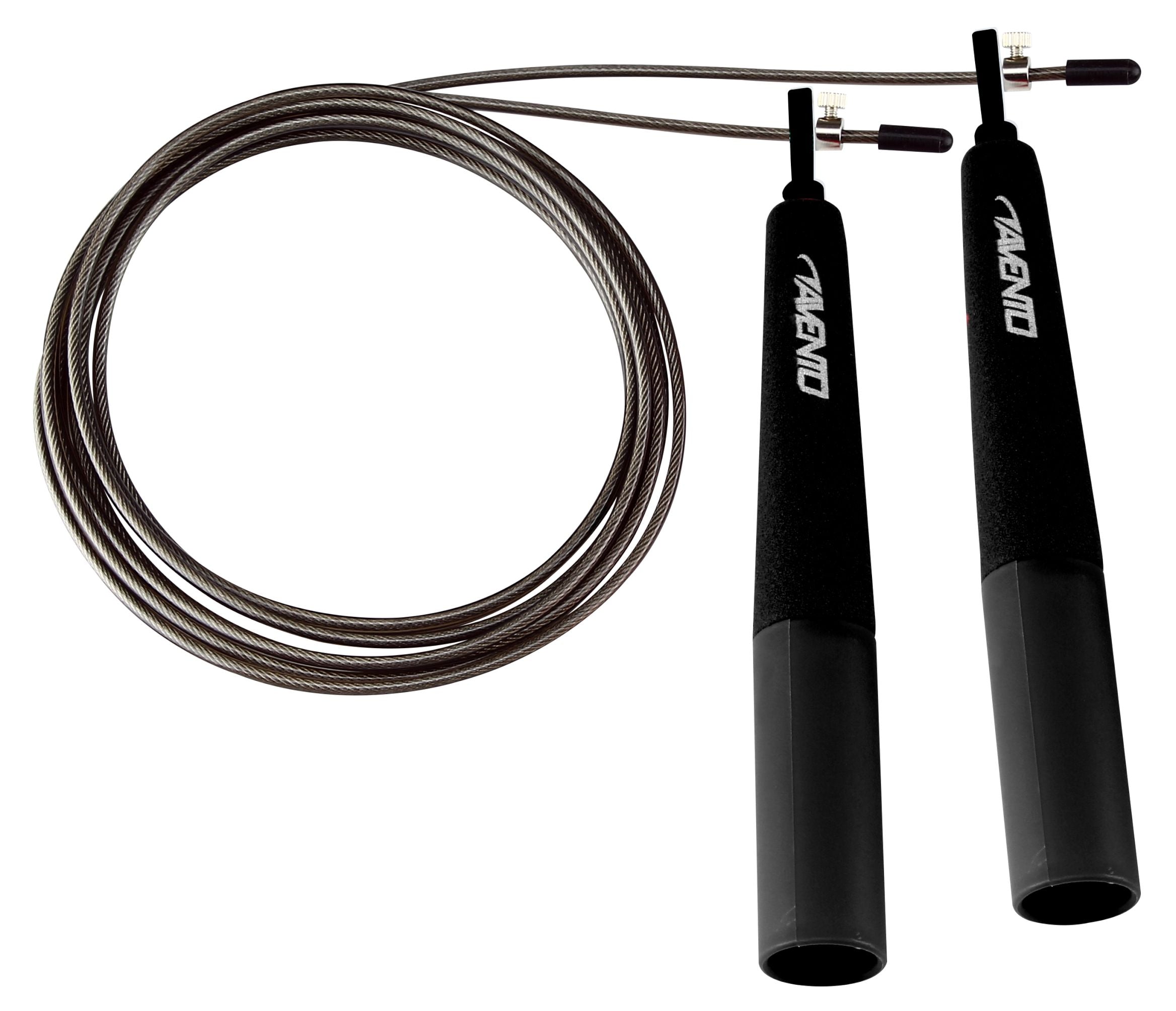 Šokdynė AVENTO 42HO-BLK 290 cm