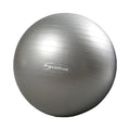 Gimnastikos kamuolys TOP QUALITY